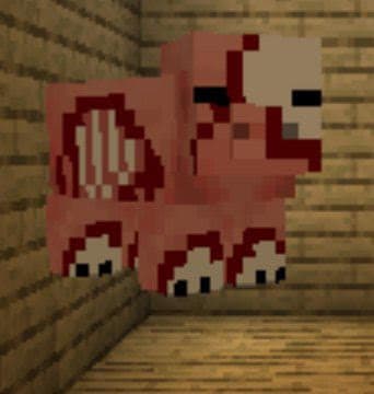 Creepy pig texture