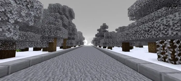 Road near the forest