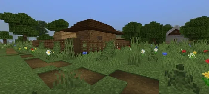 The path to the houses