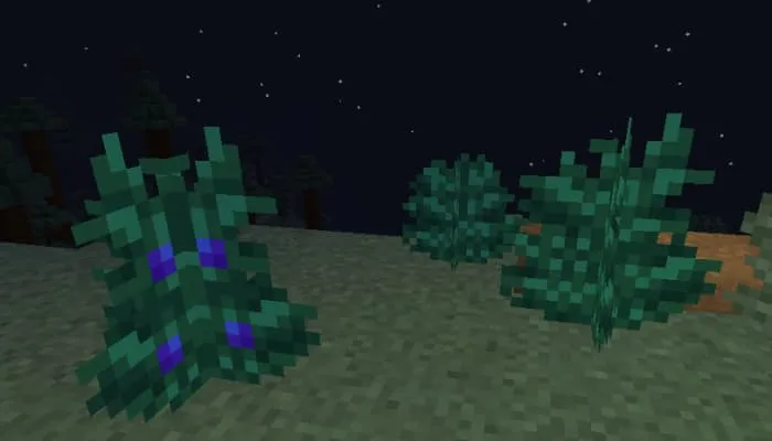 Кусты черники