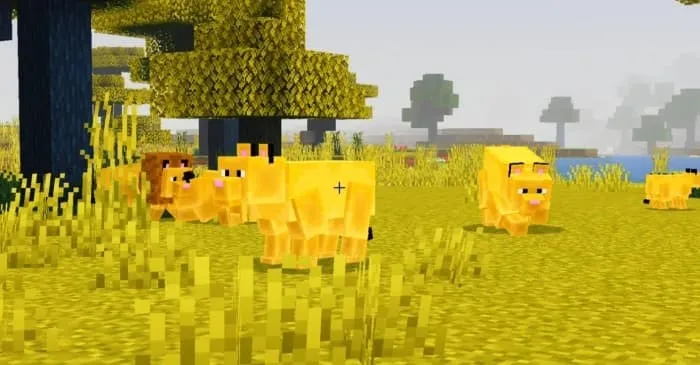 Львы в саванне