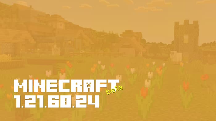 Minecraft 1.21.60.24