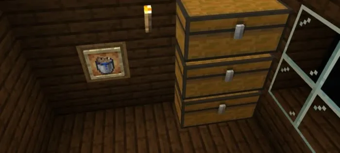 Chests in the house