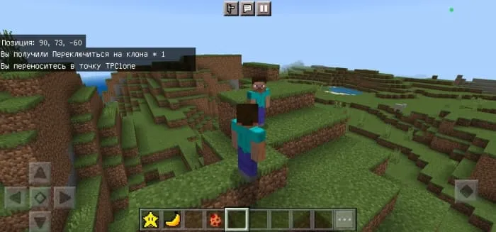 Steve's clone in the world