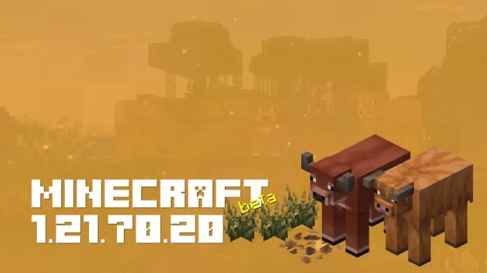 Minecraft 1.21.70.20