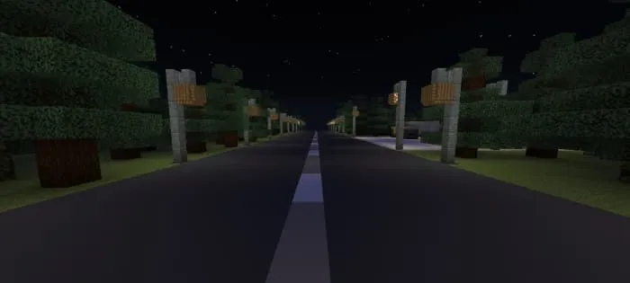 Road and street lights