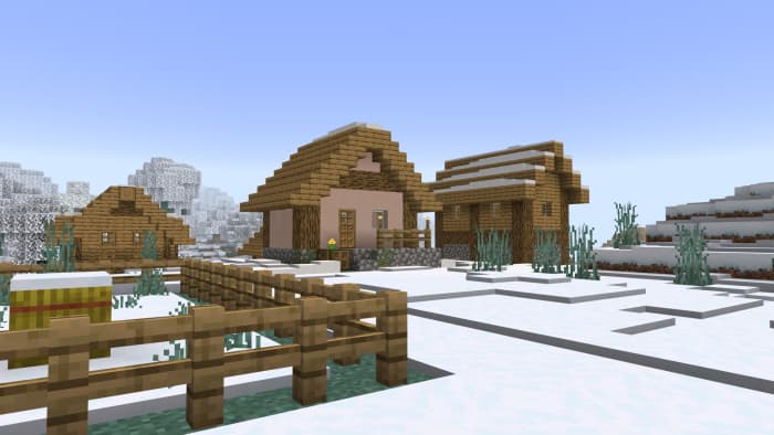 A village in the snow