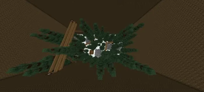 The forest from above