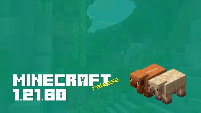 Minecraft 1.21.60.10