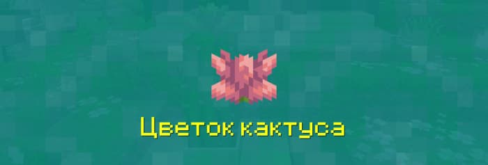 Цветок кактуса