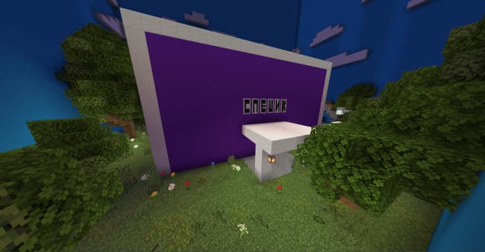 Purple Store