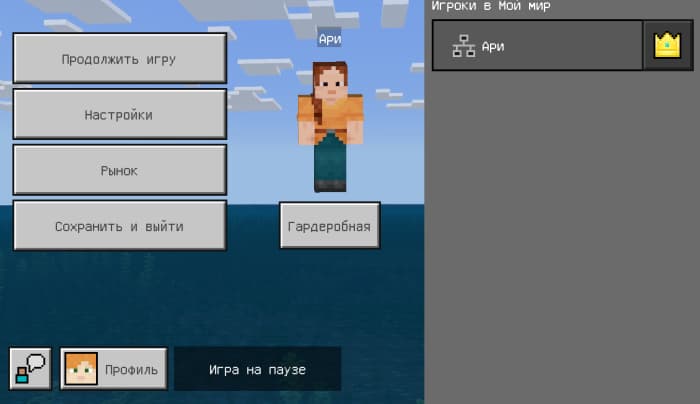 Pause screen in Minecraft