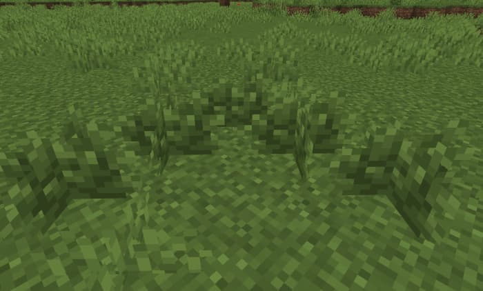 Blocks of green bushes