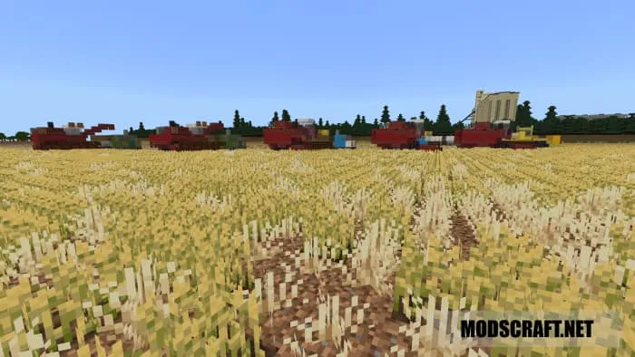 Harvesters in the wheat field