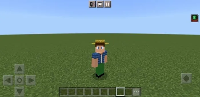 Шляпа деревенского жителя