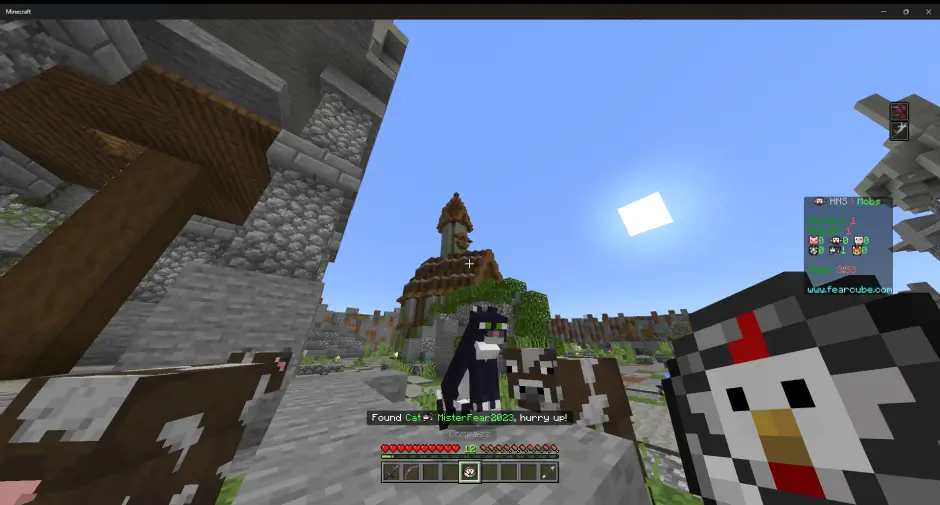 Player found a hiding player