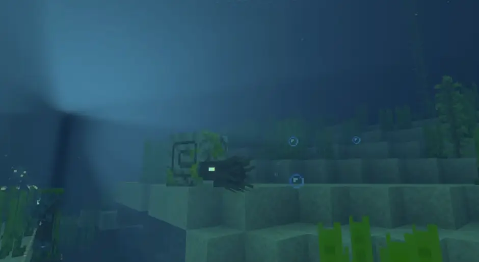 Zombie Nautilus in the ocean