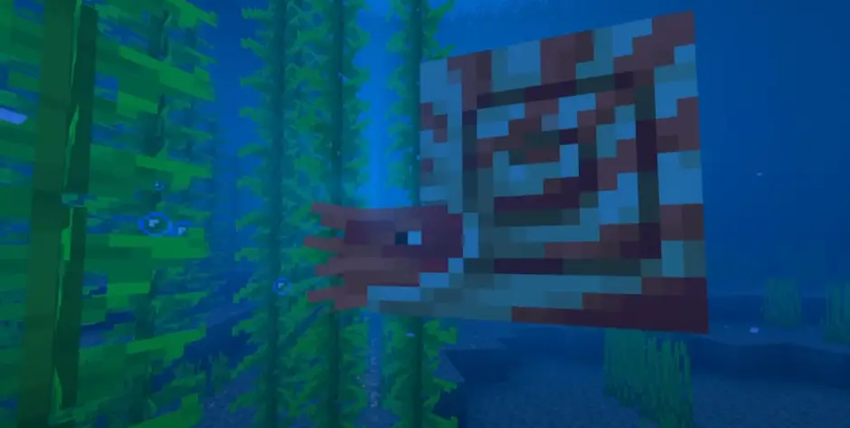 Nautilus in the ocean