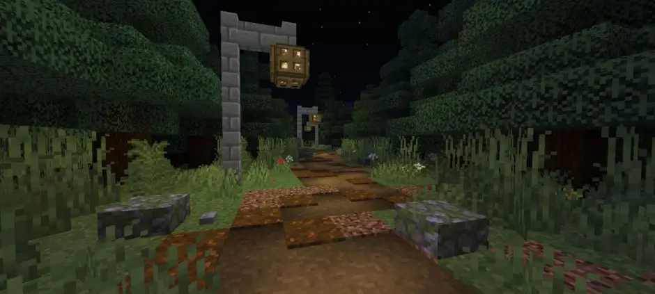 Path through the night forest