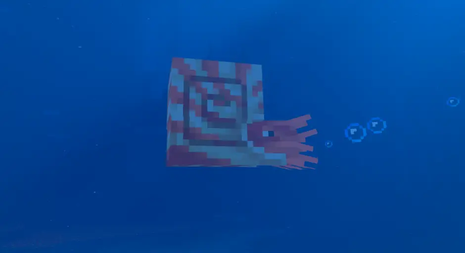 Nautilus in the ocean