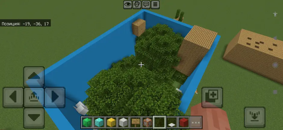 First level in the forest