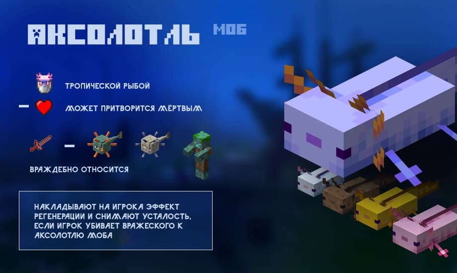 Description of the Axolotl in Minecraft